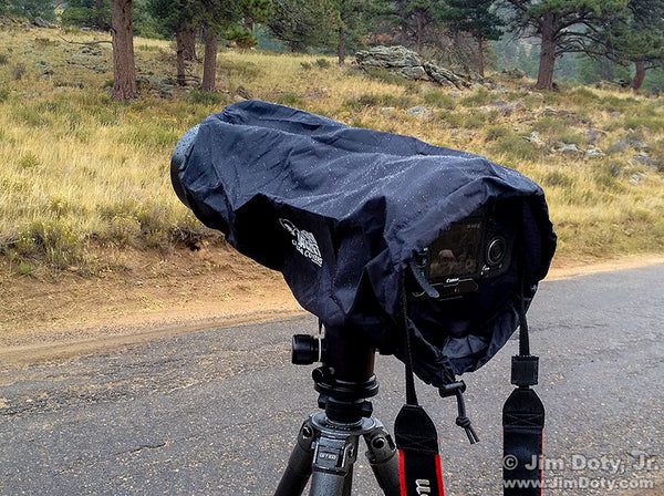 Best Rain Protection for Your Camera
