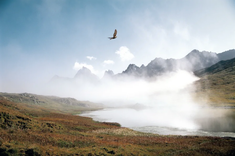 Swarovski Optik: Nature In Your Pocket
